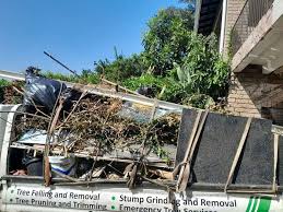 Best Recycling Services for Junk  in Hemby Bridge, NC